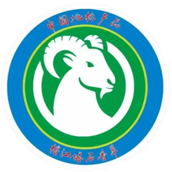 党相村足球队